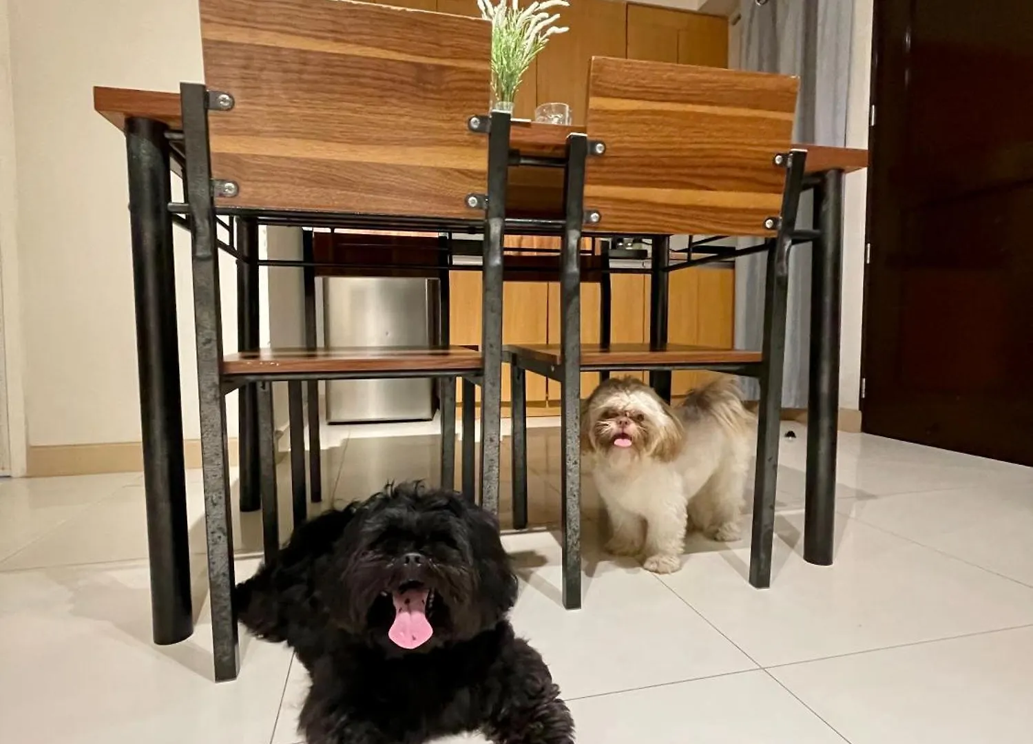 Pet Friendly 2Br Condo With Ps4 Near Abreeza Davao Stadt 0*,  Philippinen