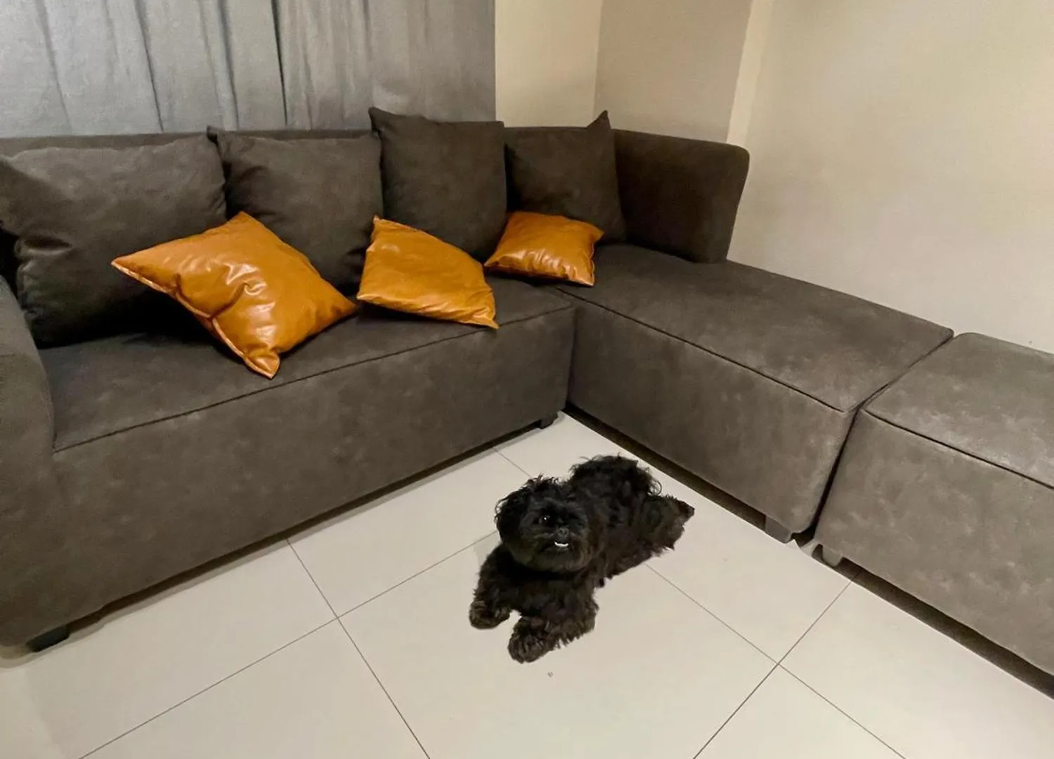 Apartment Pet Friendly 2Br Condo With Ps4 Near Abreeza Davao Stadt